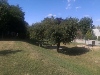 Prenajmeme 1 velku izbu v Ruzinove - 2
