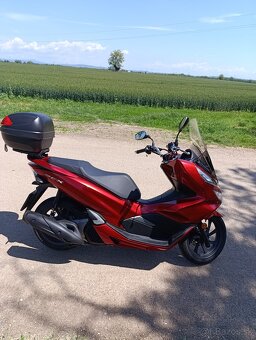 Honda pcx 125 - 2