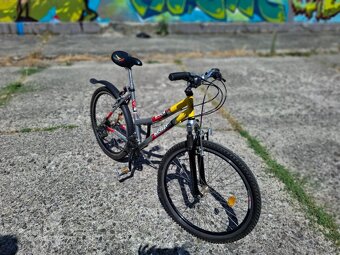 Dámsky bicykel - 2