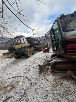 Ponúkam strihanie náletovych drevín - 2