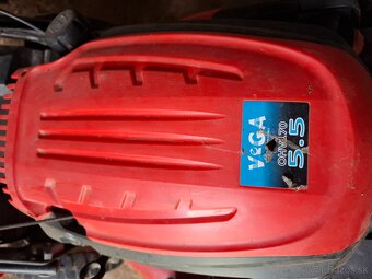 Vega 5,5 OHV 170 - 2