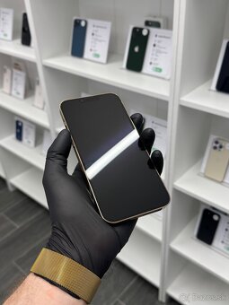 ZÁRUKA 2 ROKY / Apple iPhone 13 Pro Max 256GB Gold, 100% - 2