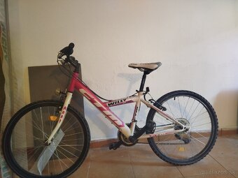 Bicykel CTM Willy 1.0 - 2