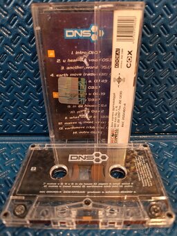 MC DNS - 2