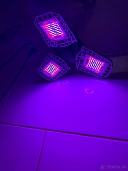 Led svetla grow/bloom, rast/kvet 200w - 2
