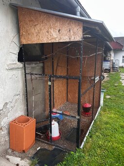 Vonkajšia voliera - 2