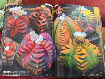 Ponúkam úžasnú knihy o kaktusoch. - 2