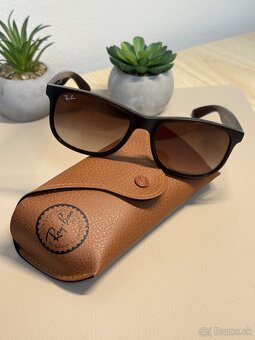 Ray Ban RB4202 ANDY - 2