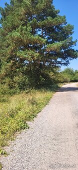 🌲 Pozemok na predaj – Zlatnícka dolina - 2