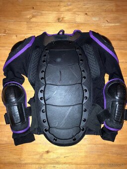 Korytnačka sixsixone - 2