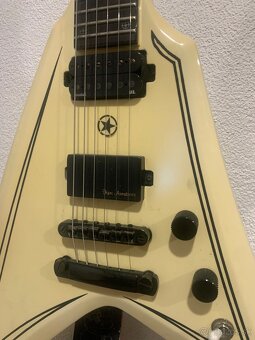 Washburn Vindicator - 2