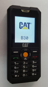 CAT B30 - 2