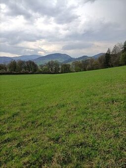 Ustajnenie koní - 2