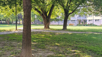 AFYREAL: 3 izbový zrekonštruovaný byt na prenájom Fedinova u - 2