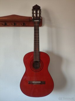 3/4 klasická gitara Ashton - 2