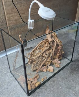 Predam akvarium 6litrov - 2