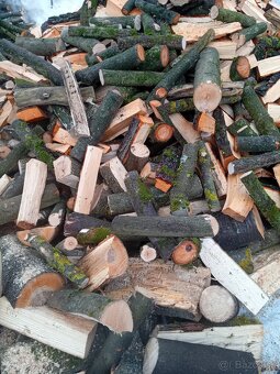 Palivové drevo - 2