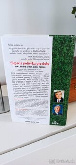 Slepacia polievka pre dusu - 2