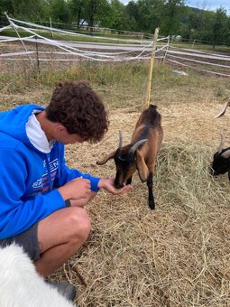 Kontaktná mini ZOO- možnosť návštevy - 2