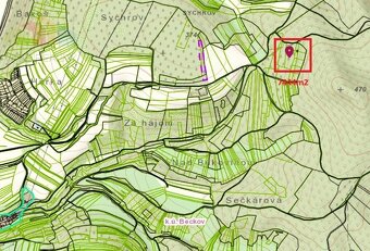 Pozemok - trvalý trávnatý porast a lesný pozemok, Beckov - 2