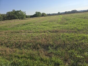 Na predaj rodinný dom s pozemkom 3571 m2 ( v cene ZP ) - 2