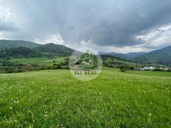 KÚSOK RAJA PRE VČELÁRA ČI MILOVNÍKA PRÍRODY – INVESTIČNÝ POZ - 2