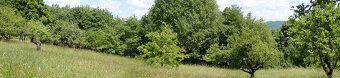 Pozemok(440m2),v katastrál. úz. Pukanec -na predaj - 2