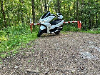 Honda PCX 125 - 2