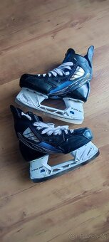 Korčule True TF7 - 2