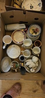 Kranica porcelanu - 2