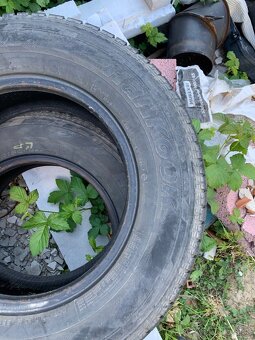 Dunlop sport BluResponse 195/65 R15 91H - 2