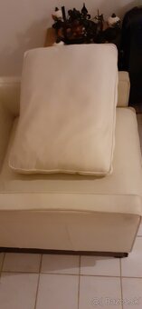 Kreslo celokoženne-dizajnové - 2