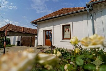Bátovce, dom o veľkosti bytu s veľkým pozemkom - 2