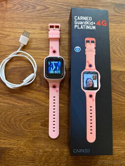 Carneo Guardkit+ 4G - 2