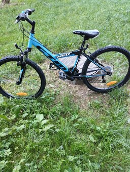 CTM willy 2.0 juniorský horský bicykel 24 - 2
