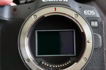 Canon EOS R8 - 2