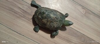 Predám koritňacka - 2