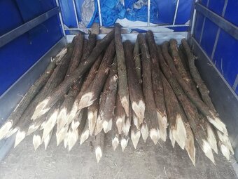 Predám agátové koly - 2