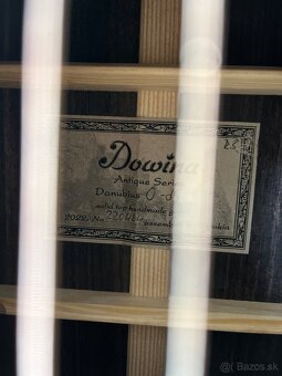 DOWINA Danubius O-ds Masívny Dolomitský smrek - 2