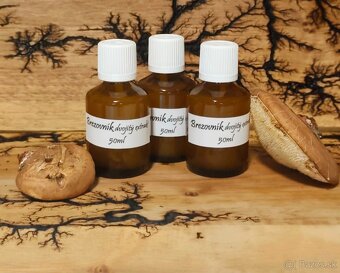 Chaga, brezovník - 2