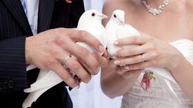 Vypúšťanie svadobných holubov,, - 2