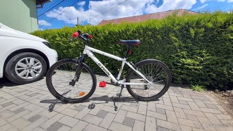 B Twin 24" - 2