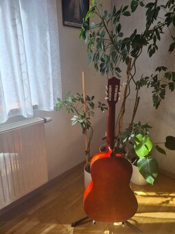 Gitara španielka, puzdro zadarmo - 2