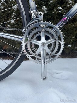 Colnago Tecnos Art Decor - 2