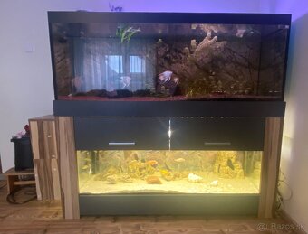 Set dvoch akvárií - 2