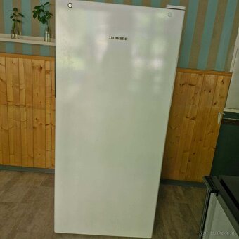 Gastro chladnička - 2