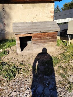 Búda pre psa - 2