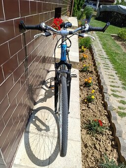 Kellys saphix cross - 2