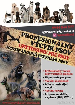 PROFESIONÁLNY VYCVIK PSOV A UBYTOVANIE - 2