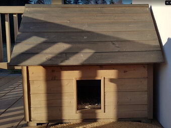 Búda pre psa zateplená - 2